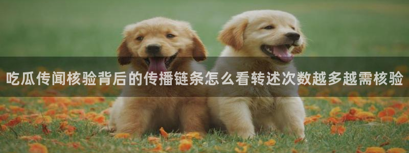51吃瓜热点新闻