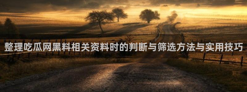 吃瓜今日事件